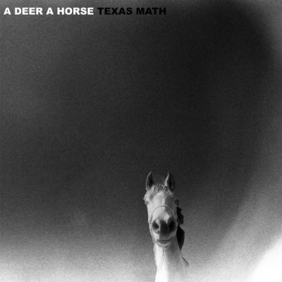 A DEER A HORSE – TEXAS MATH