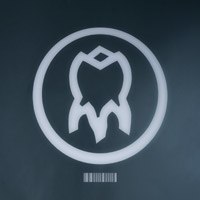 STAM1NA – Raja