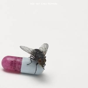 Red Hot Chili Peppers – I'm with you