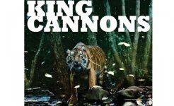 KING CANNONS – KING CANNONS