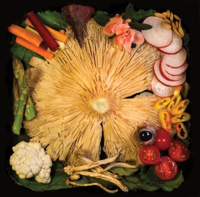 Acid Baby Jesus – Vegetable