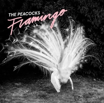 THE PEACOCKS – FLAMINGO