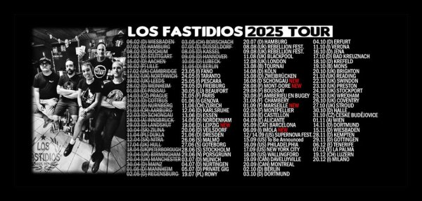 LOS FASTIDIOS