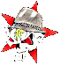Punk to Ska Festival