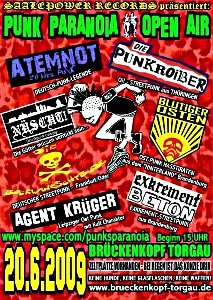 Punk Paranoia Open Air
