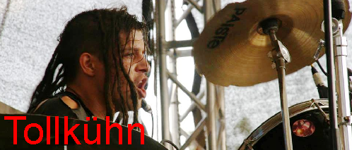 Tollkühn