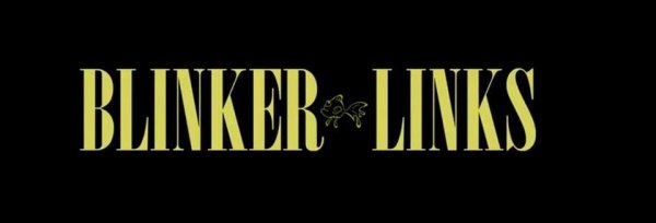 Blinker Links