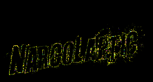 NARCOLAPTIC