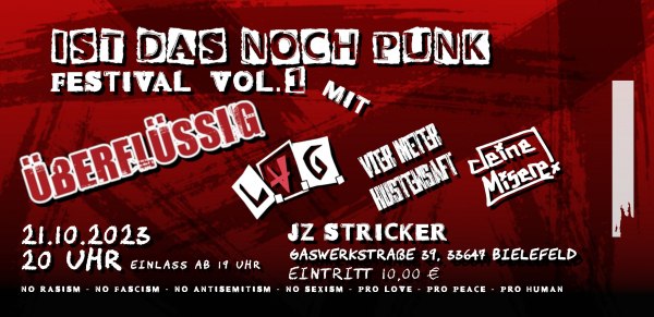 Is This Still Punk - Festival
