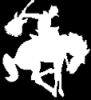 Ruhrpott Rodeo Radio Show