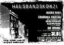 Hausbandkonzi am 30.8.09 im Schuldenberg Plauen