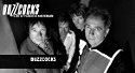 Buzzcocks Konzert im Live-Stream