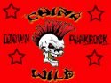 Pappes rockt wie Sau - Punkrock Konzert