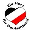 Ach unsere wunderschöne NPD...
