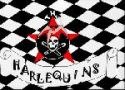 THE HARLEQUINS starten Demo-Aufnahmen
