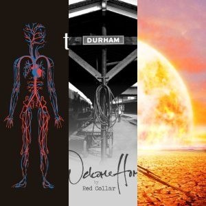 New Albums in Stream