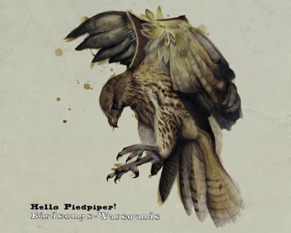 HELLO PIEDPIPER: New Tour Dates & Video Premiere - The Pawn That Beats The Drake -
