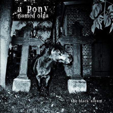 A Pony Named Olga auf Tour