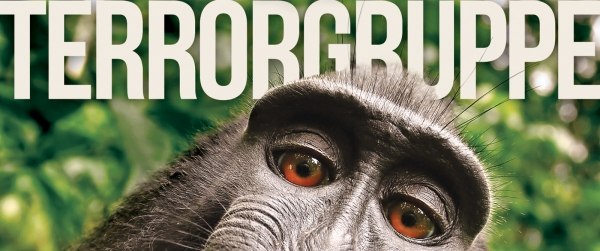 TIERGARTEN - Plattentaufe: erst ausverkauft, jetzt hochverlegt!