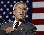 Adolf Bush