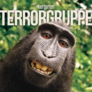 Affen-Selfie - the neverending Story - Teil XVI: Fotokamerabesitzer versus Punkband