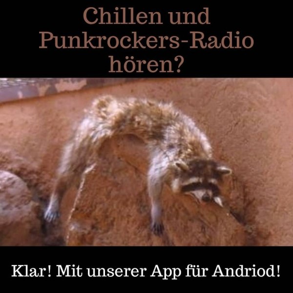 Radio-App von Punkrockers Radio