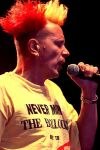 Johnny Rotten im Dschungel