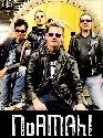 Normahl are looking for a female singer for their concerts
