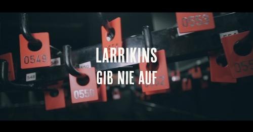 Larrikins mit neuem Song - Gib nie Auf -  und dem dazugehörigen neuen Video