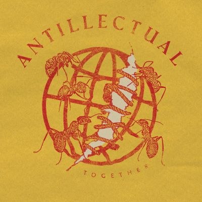 Antillectual (Nijmegen) - new video single: From City To City