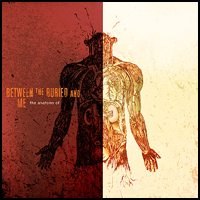 Between The Buried And Me – The Atanomy Of