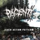 PLACENTA – FIXED ACTION PATTERN