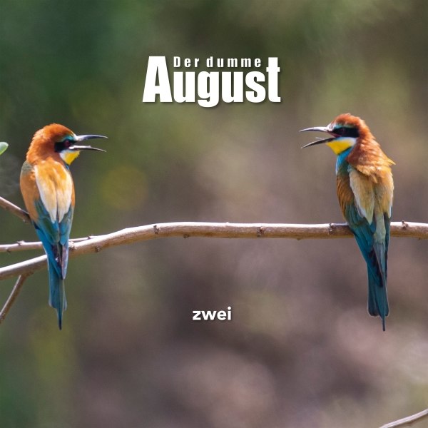 DER DUMME AUGUST – Zwei (oranges Vinyl !!! + Download-Code) / Download / Stream