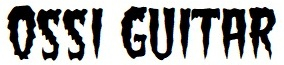 Ossi Guitar