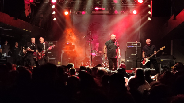 COCK SPARRER + DISCIPLINE + VULTURE CULTURE am 28.09.2024 im Herforder „Kulturwerk“