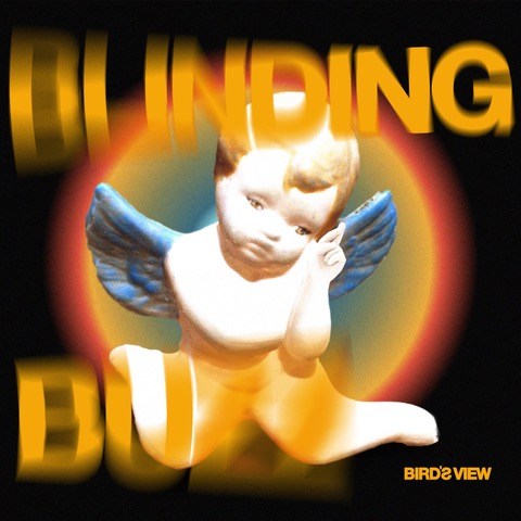 BIRD'S VIEW - neue Single: Blinding Buzz / Produziert von Kurt Ebelhäuser (u.a. DONOTS, MADSEN)