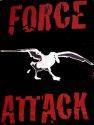 Severe Accidents Overshadow Force Attack