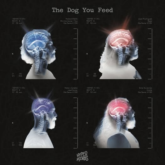 Schnörkelloser Garage-Punk aus East L.A.: Hyper Minds veröffentlichen Debütalbum „The Dog You Feed“