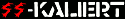 Punkrockern droht Haft wegen Band-Logo