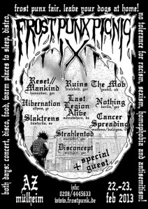 Frost Punx Picnic IX