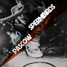 Split-Veröffentlichung der Punk-Giganten:Rookie bringt Doppel-7inch von Spermbirds und Pascow heraus
