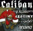 Spirit X-Mas Tour 2005