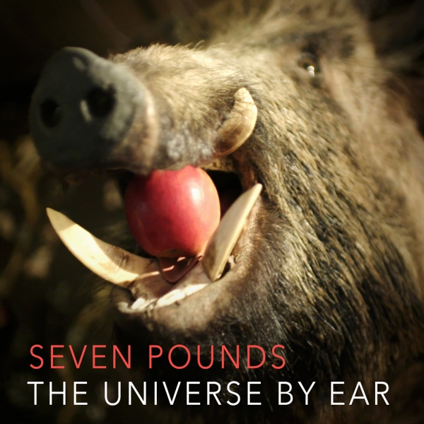 Czar Of Revelations News - The Universe By Ear - Seven Pounds // Digitale Debütsingle & Video