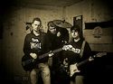 Zytoplassma mit Bassisten