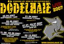 Dödelhaie Konzerte