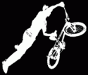 5. Bike 'n' Roll Festival
