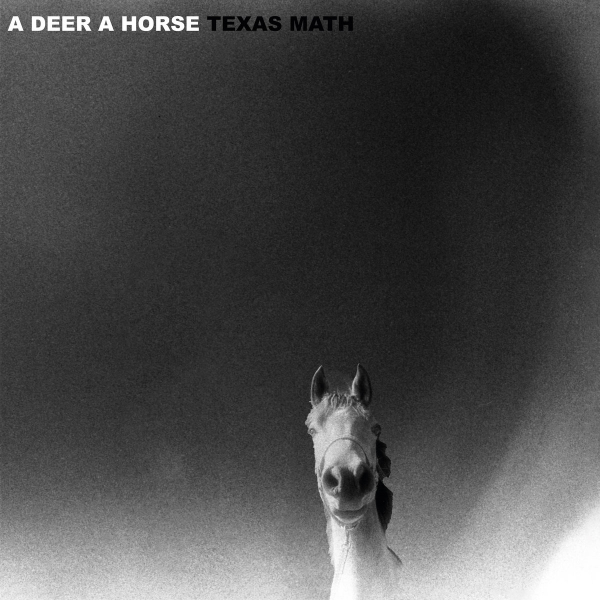 A DEER A HORSE – TEXAS MATH