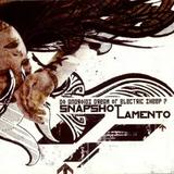 SNAPSHOT LAMENTO – Do Androids dream of electric s