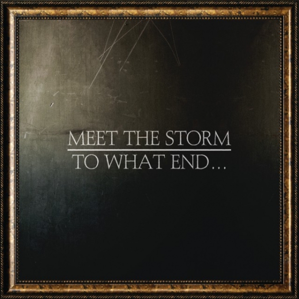 Meet The Storm – To what end...