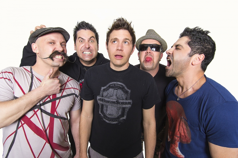 Zebrahead